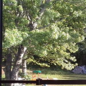 Meet your Posher, Carolyn